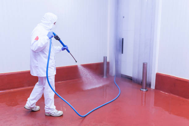 Best Factory Floor Cleaning  in Millers Falls, MA